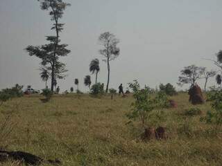 No dia 7, Força Nacional foi ao acampamento indígena após relato de ataque. (Foto: Grupo Aty Guasu)