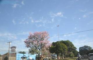 Depois de domingo, mudança do clima em Campo Grande permanecerá por 2 dias. (Foto: Paulo Francis)