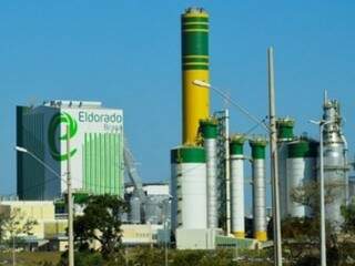 Eldorado Brasil é uma das maiores fábricas de celulose do mundo (Foto: JP News)