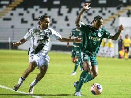 Palmeiras domina partida e vence Ponte Preta por 1 a 0