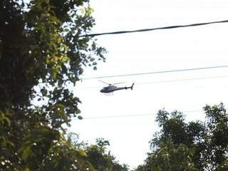 Helicóptero da PM faz buscas por ladrão em área de mata fechada (Foto: Paulo Francis) 