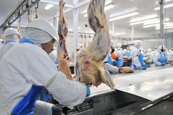 Exporta&ccedil;&otilde;es de carne bovina de MS cresceram 21% no ano passado 