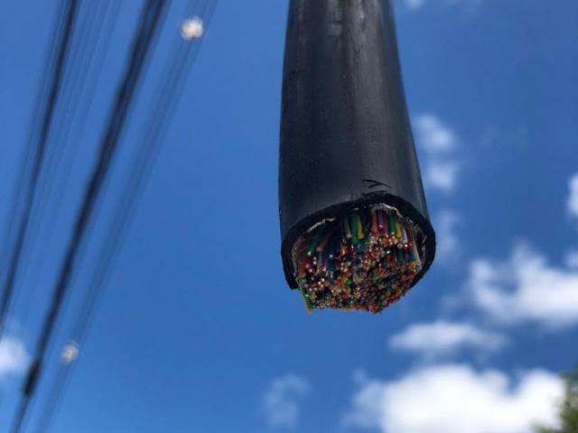 Em for&ccedil;a-tarefa contra furto de fios, pol&iacute;cia prende &ldquo;Punk&rdquo; e &ldquo;Mc Donald&#039;s&rdquo;