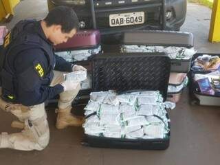Contrabandista &eacute; preso com perfumes, eletr&ocirc;nicos e 100 quilos de agrot&oacute;xicos 