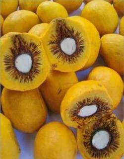 Fruto, típico do Cerrado, tem camada de espinhos entre a polpa e o caroço. (Foto: Reprodução internet)