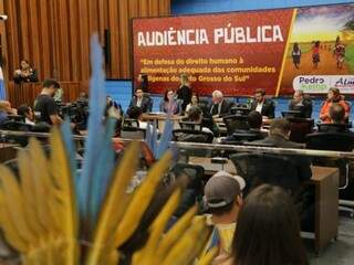 Representantes indígenas estiveram no plenário da Assembleia Legislativa de MS durante audiência pública, na tarde desta sexta-feira (Foto: Kísie Ainoã) 