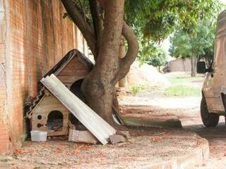 Casas de cachorro do lado de fora de residência (Foto: Marcos Maluf)