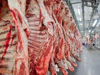 Carne bovina em frigorífico do Brasil. (Foto: Divulgação/Abiec/Arquivo/AgenciaBrasil)