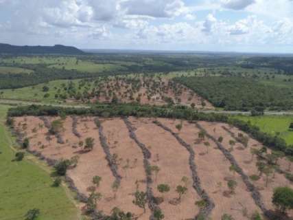 Pecuarista &eacute; multado em R$ 12 mil por desmatamento em &aacute;rea de 11,3 hectares