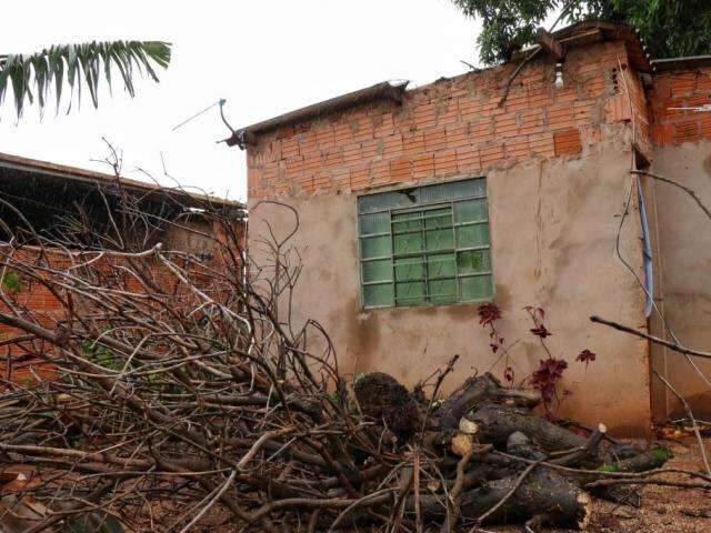 Com ventania, galhos despencam e destroem telhado no S&atilde;o Conrado