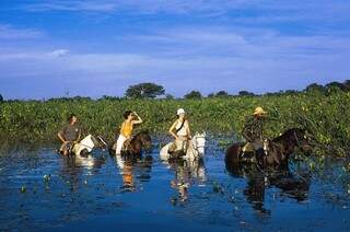 Com o Pantanal em época de cheias, o passeio a cavalo é uma boa alternativa para curtir a vida pantaneira (Foto: Divulgação)