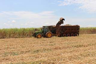 Nove munic&iacute;pios de MS est&atilde;o entre as maiores economias agr&iacute;colas do Pa&iacute;s