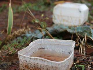 Vasilha com água parada em terreno, local ideal para eclosão de ovos do Aedes (Foto: Silas Lima)