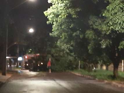 Árvore cai e interdita passagem de veículos em avenida do Santa Luzia 