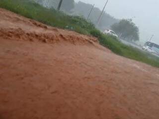 Temporal com ventos fortes alaga ruas e derruba &aacute;rvores na fronteira 