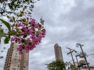 Inmet prev&ecirc; quarta-feira de mais chuva em todo Mato Grosso do Sul