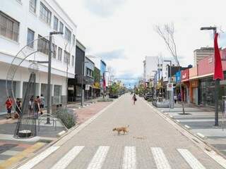 Ap&oacute;s oficinas e a&ccedil;&atilde;o na rua, prefeitura lan&ccedil;a site de sugest&otilde;es para 14 de Julho