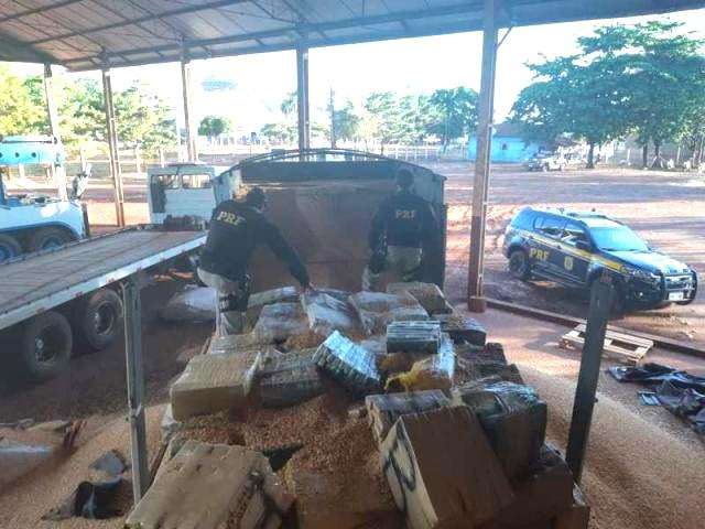 Carreta &eacute; apreendida com 2,6 toneladas de maconha em carga de milho