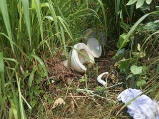 Vaso sanitário descartado em um terreno baldio no bairro Morada Verde (Foto: Marcos Maluf)