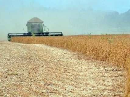 Agropecu&aacute;ria rende mais de R$ 33 bi em MS e segura topo entre setores