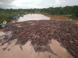 Por causa da chuva muitos galhos de árvores e paus foram parar no leito do Rio Miranda, distante 201 quilômetros da Capital (Foto: Defesa Civil) 