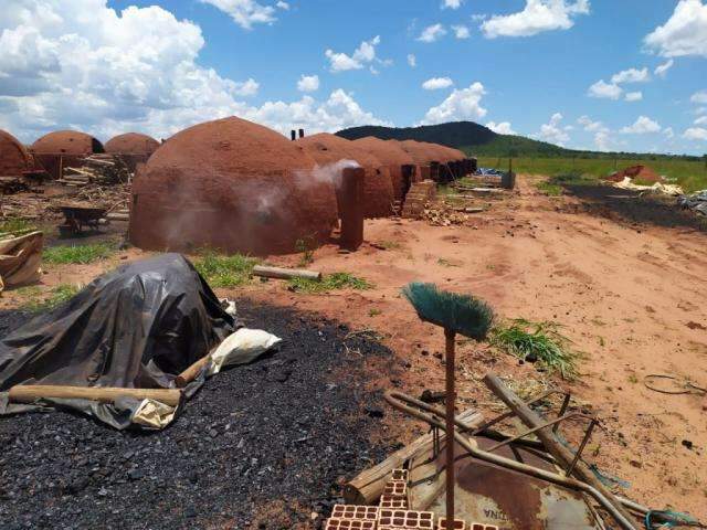 Carvoarias s&atilde;o fechadas e donos multados em R$ 23 mil