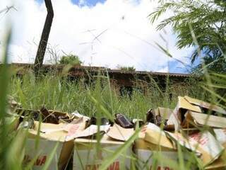 No terreno da Rua Gavião, várias caixas com garras foram descartadas (Foto: Marcos Maluf)