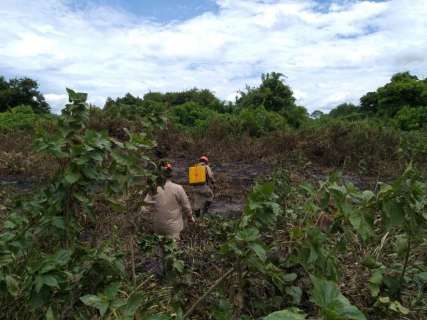 Bombeiros concluem 2º dia de combate a incêndios no Pantanal 