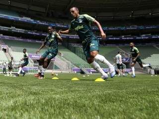 Palmeiras recebe o Mirassol no Allianz Parque, nesta tarde (Foto: Agência Palmeiras)