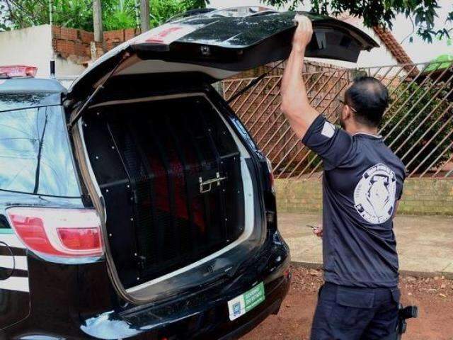 Homens que mataram v&iacute;tima a golpes de caibro de madeira s&atilde;o presos 