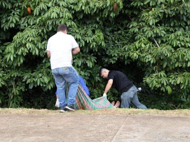 Homem &eacute; encontrado morto em mata no canteiro central da Nelly Martins
