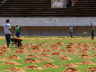 Gramado do Morenão passa por cuidados. Estádio ainda não está liberado (Foto: Henrique Kawaminami)