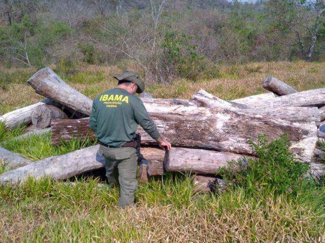 Multas milion&aacute;rias por desmatamento em MS atingem de pecuarista ao Incra