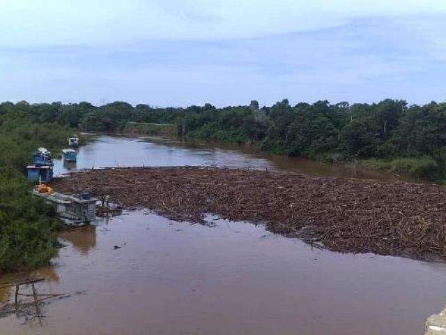 Imasul conclui que sujeira encalhada no Rio Miranda &eacute; fen&ocirc;meno natural