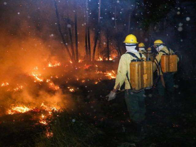 Governo quer aval para contratar tempor&aacute;rios no combate a inc&ecirc;ndios