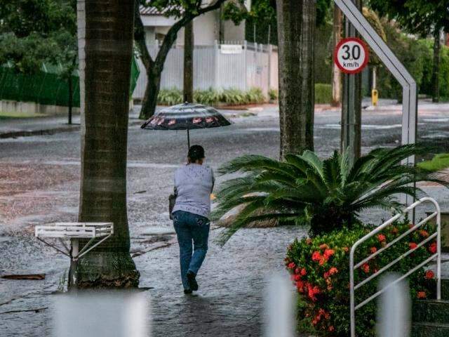 Fevereiro ser&aacute; chuvoso, com risco de alagamentos em cidades de MS