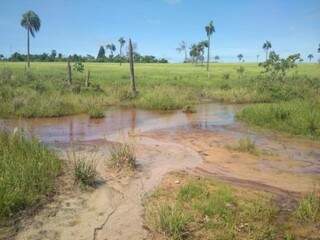 Córrego está completamente assoreado por conta da pecuária na fazenda. (Foto: Divulgação PMA)