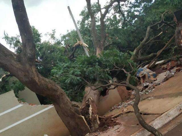 Vendaval ocorreu em pontos isolados e teve 2 mil&iacute;metros de chuva 