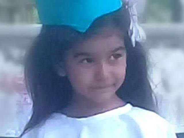 Motorista se assusta com cobra, capota carro e filha de 5 anos morre 
