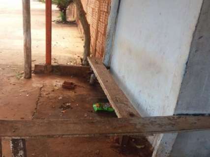 Morador de rua &eacute; encontrado ensanguentado ap&oacute;s ataque de cachorro 