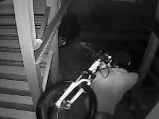 Câmeras flagraram ladrão levando bicicleta de apartamento (Foto: Direto das Ruas)