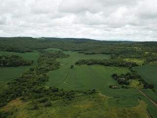 PMA aplica R$ 181 mil em multa por 172 hectares de desmatamento 