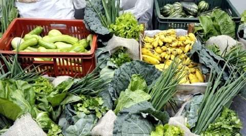 Editais para compra de alimentos da agricultura familiar estão abertos 