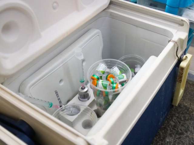 Vacina mais eficaz contra pneumonia &eacute; testada em humanos