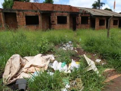 Vizinhos de menino que morreu de dengue reclamam de terrenos baldios 