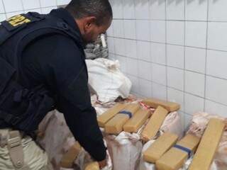 Dupla &eacute; presa com 363 quilos de maconha ap&oacute;s persegui&ccedil;&atilde;o na BR-163