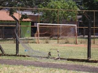 Pra&ccedil;a ter&aacute; novo campo de futebol, banco &ldquo;minhoca&rdquo; e playground