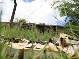 Mato e sujeira tomam conta de terreno no Bairro Morada Verde, onde meninos de 9 anos morava (Foto: Marcos Maluf)