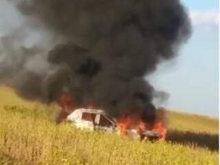 Aparentemente, veículo foi incendiado em meio a uma plantação de soja. (Foto: Direto das Ruas) 