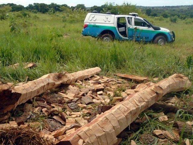 Agredido por empreiteiro, dono de fazenda denuncia crime ambiental